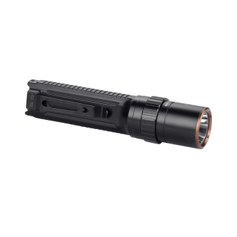 ������ Fenix LD42